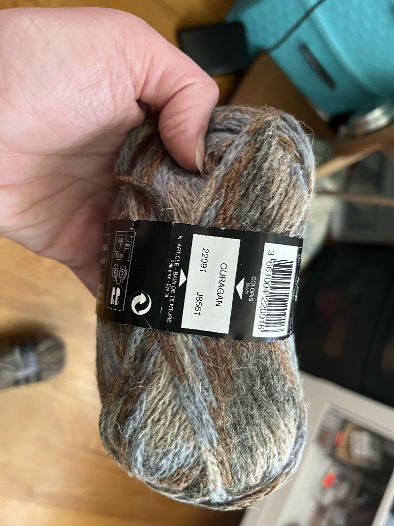 Bergere de France Prisme chainette yarn