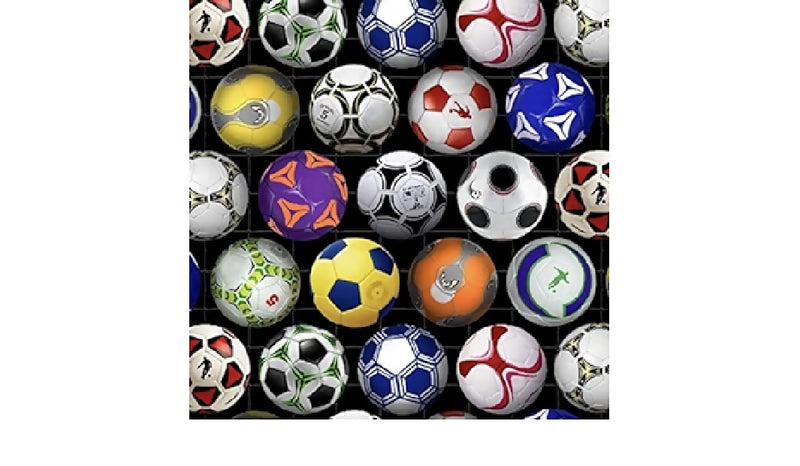 Assorted Colorful Soccer Balls