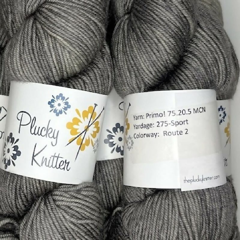 Plucky Knitter Primo Sport Yarn in Route 2 Colorway