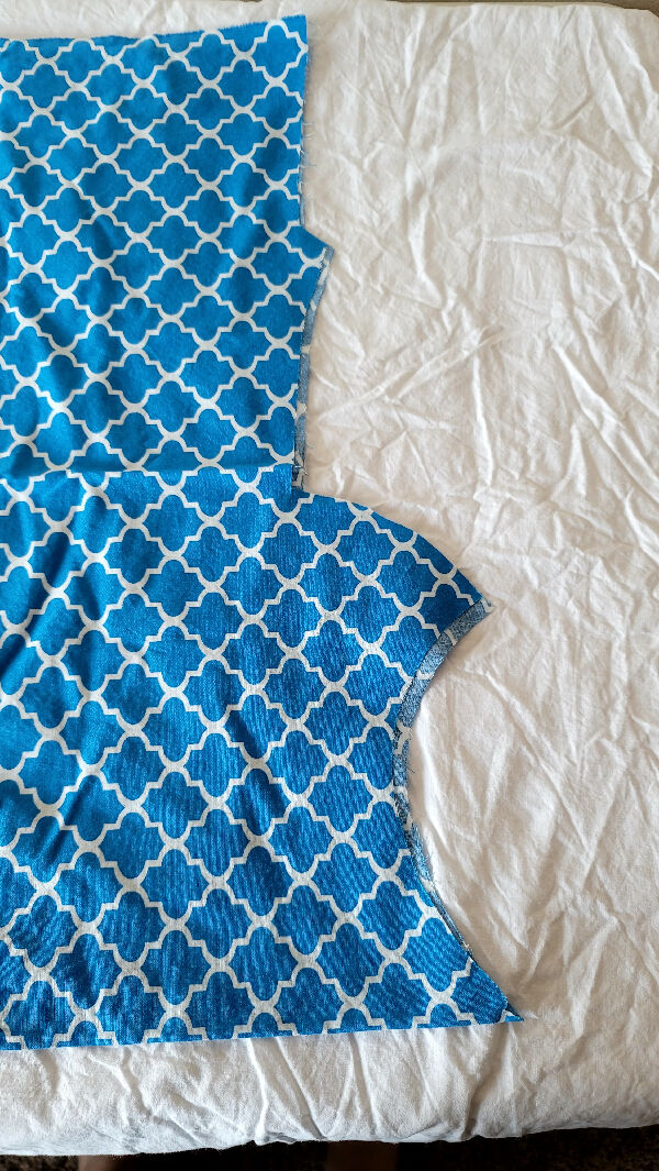 Blue and White Print Cotton 1 Yard