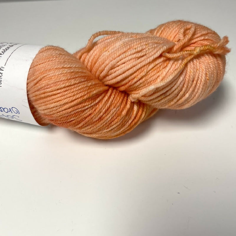 Cornbread & Honey Soft Orange DK Superwash Merino Nylon Yarn