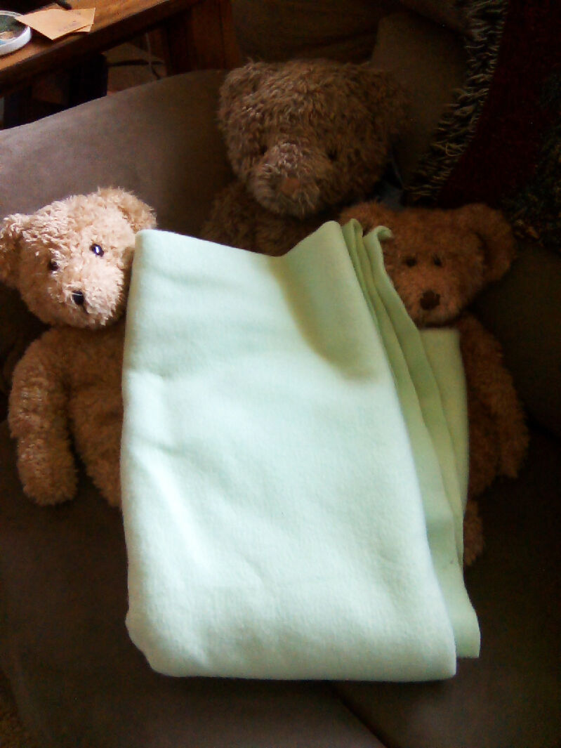 fleece mint green soft 39x70 warm apparel ready