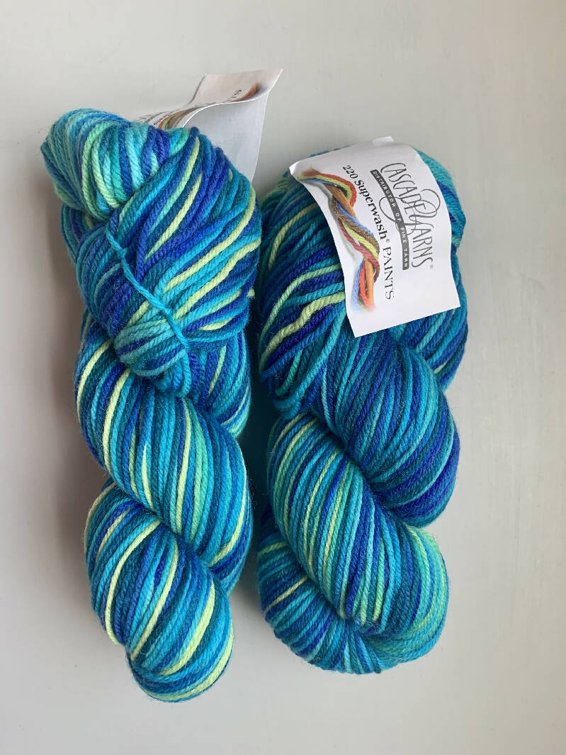 Audine Wools yarn Lot 2 hanks colorway online electric abalone