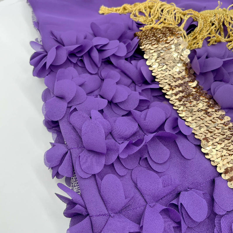Embellished Purple and Lavender Chiffon With Gold Notions Costume Pack