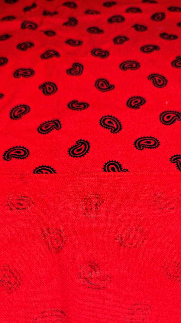 Vintage Red/Black Paisley Print Cotton Flannel Woven Fabric 44"W - 1 1/4 yd